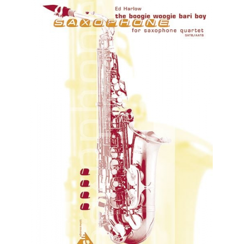 The Boogie Woogie Bari Boy