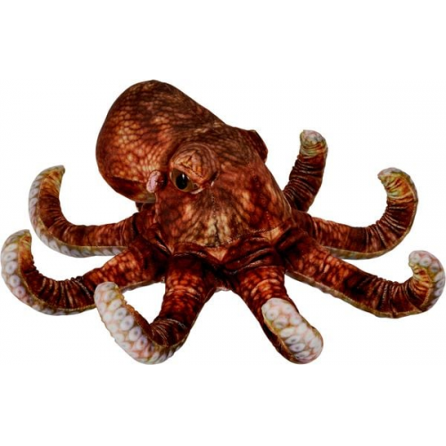 Oktopus Nature Zoom Wild