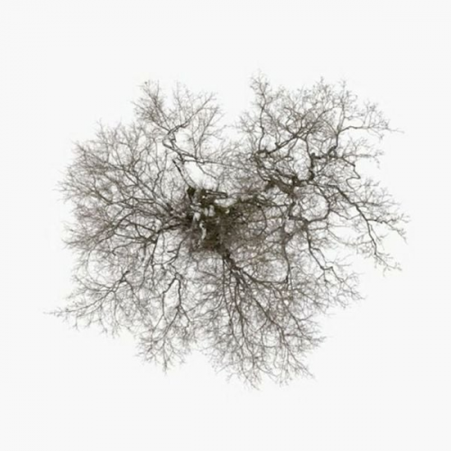 John Metcalfe - Metcalfe, J: Tree