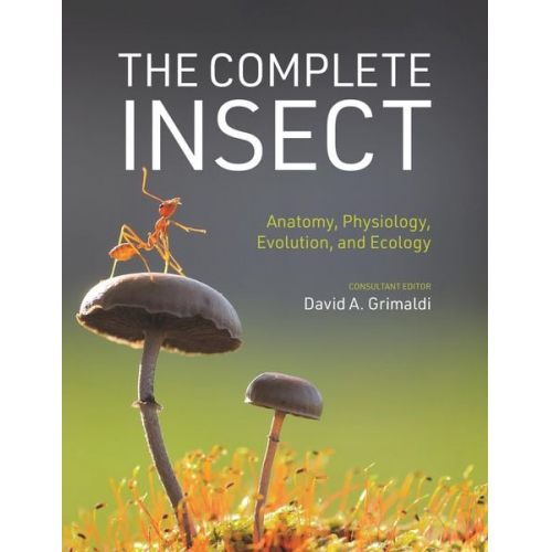 David A. Grimaldi - The Complete Insect