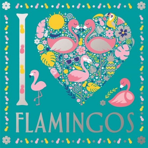 Felicity French Lizzie Preston - I Heart Flamingos