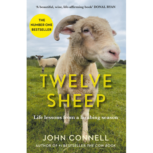 John Connell - Twelve Sheep