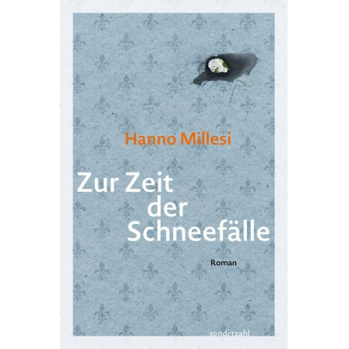 Hanno Millesi - Zur Zeit der Schneefälle