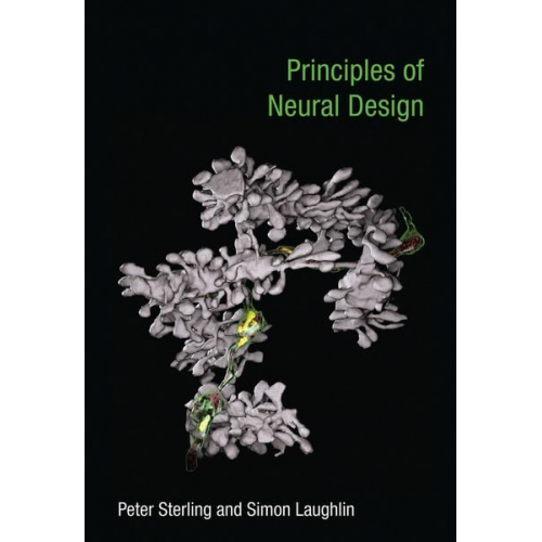 Peter Sterling Simon Laughlin - Principles of Neural Design