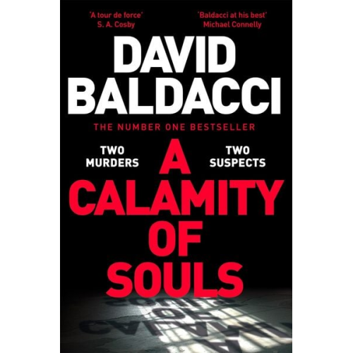 David Baldacci - A Calamity of Souls