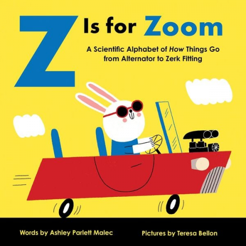 Ashley Parlett Malec - Z Is for Zoom