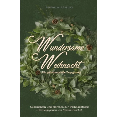 Hans-Jürgen Raben Mara Laue Rainer Popp Lion Obra - Wundersame Weihnacht – Die geheimnisvolle Begegnung: Geschichten und Märchen zur Weihnachtszeit