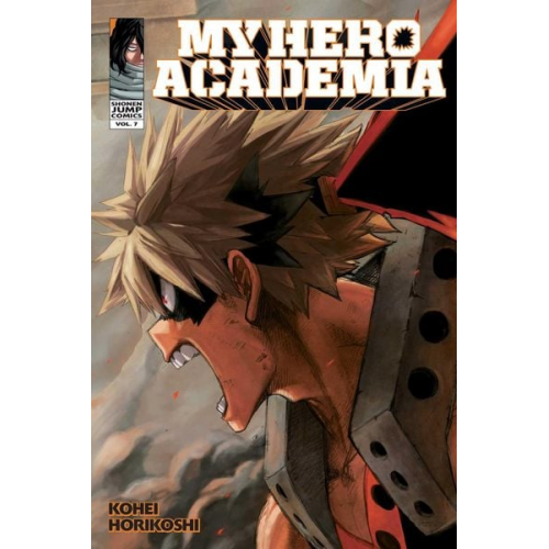 Kohei Horikoshi - My Hero Academia, Vol. 7