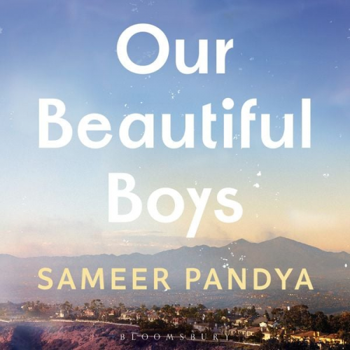 Sameer Pandya - Our Beautiful Boys