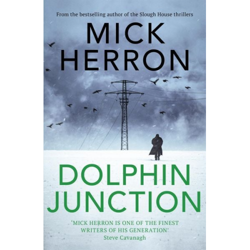 Mick Herron - Dolphin Junction