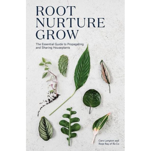 Caro Langton Rose Ray - Root Nurture Grow