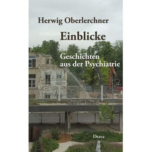 Herwig Oberlerchner - Einblicke