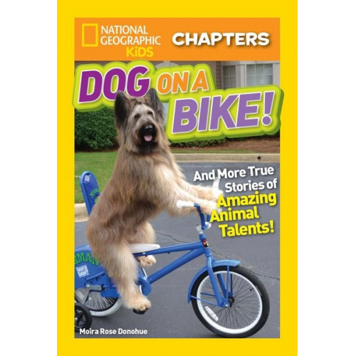 Moira Rose Donohue - Dog on a Bike!