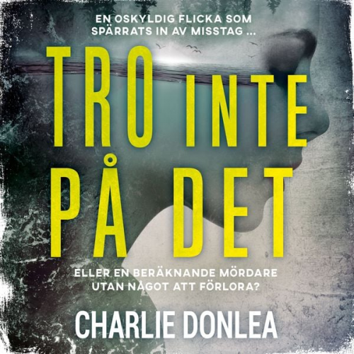Charlie Donlea - Tro inte på det