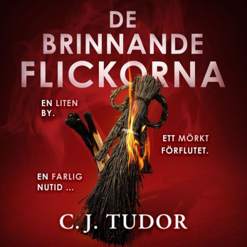 C.J. Tudor - De brinnande flickorna