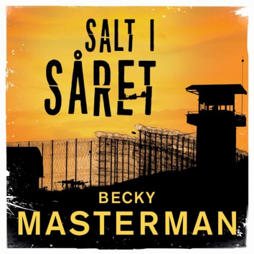 Becky Masterman - Salt i såret