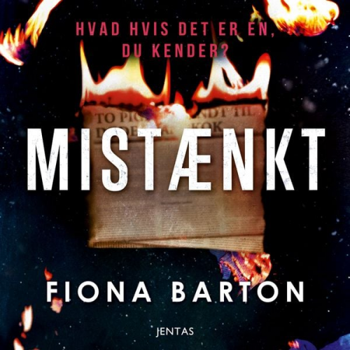 Fiona Barton - Mistænkt