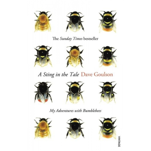 Dave Goulson - A Sting in the Tale