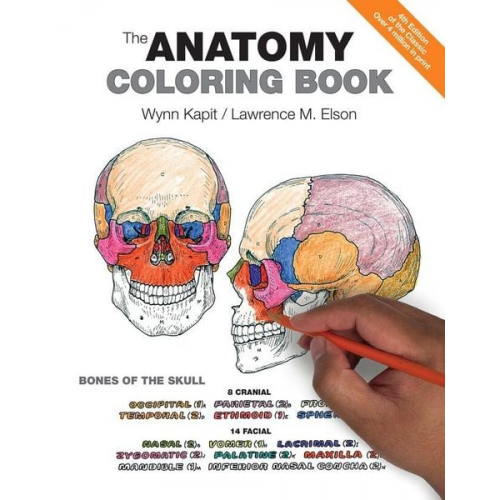 Wynn Kapit Lawrence M. Elson - Anatomy Coloring Book, The