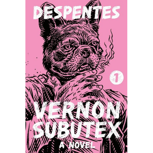 Virginie Despentes - Vernon Subutex 1