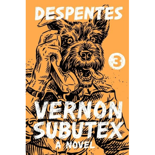 Virginie Despentes - Vernon Subutex 3