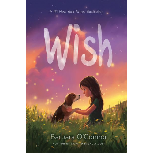 Barbara O'Connor - Wish