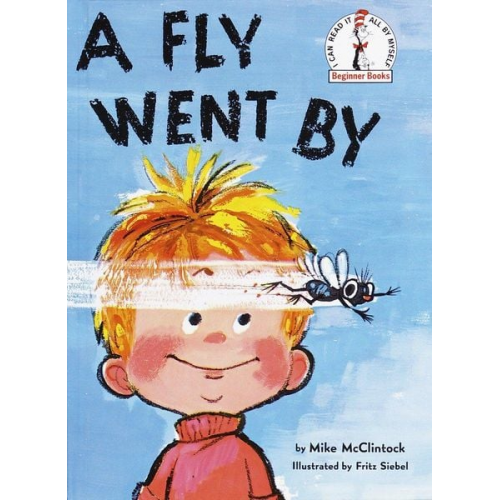 Mike Mcclintock - A Fly Went by