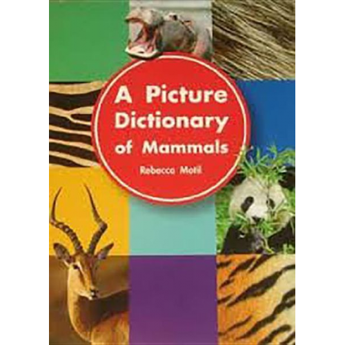 A Picture Dictionary of Mammals: Big Book Grade K