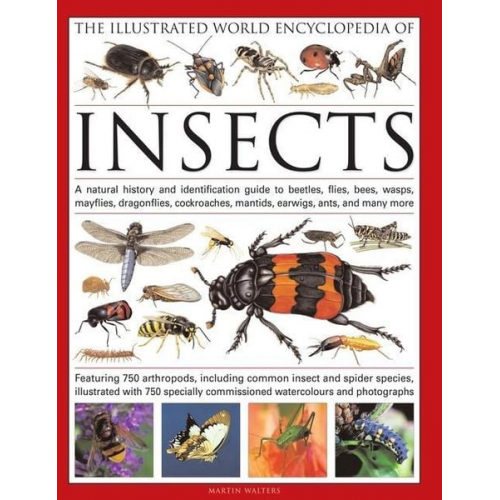 Martin Walters - The Illustrated World Encyclopedia of Insects