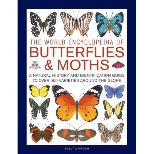 Sally Morgan - The World Encyclopedia of Butterflies & Moths