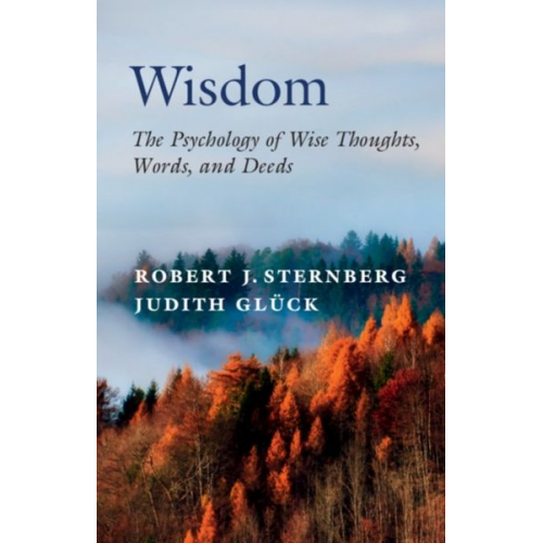 Robert J. Sternberg Judith Glück - Wisdom