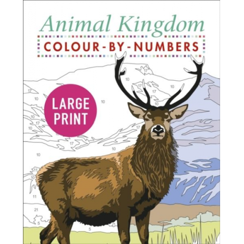 David Woodroffe - Large Print Animal Kingdom Colour-by-Numbers