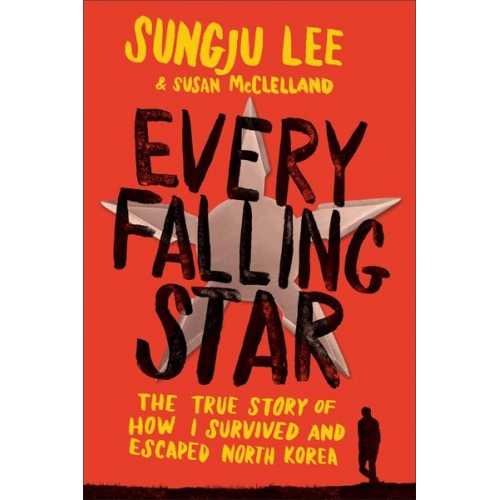 Sungju Lee Susan Elizabeth McClelland - Every Falling Star