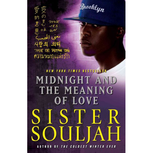 Sister Souljah - Midnight and the Meaning of Love