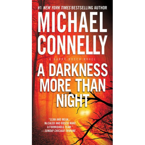 Michael Connelly - A Darkness More Than Night