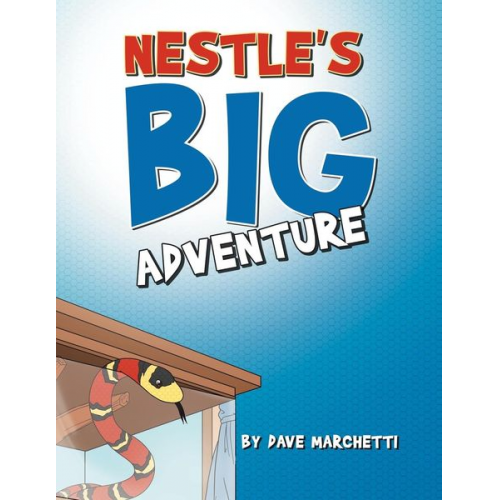 Dave Marchetti - Nestle's Big Adventure