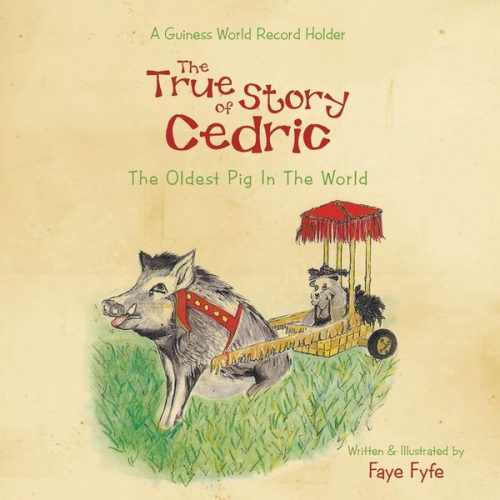 Faye Fyfe - The True Story of CEDRIC