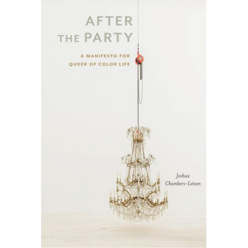 Joshua Chambers-Letson - After the Party