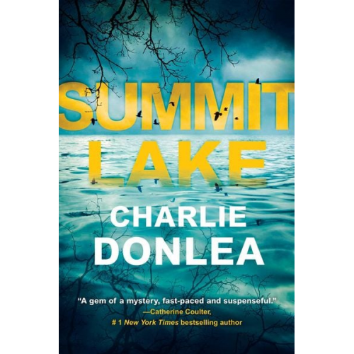 Charlie Donlea - Summit Lake