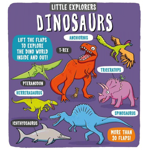 Little bee books - Little Explorers: Dinosaurs