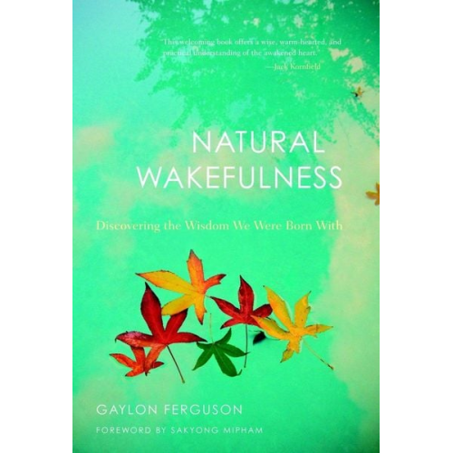 Gaylon Ferguson - Natural Wakefulness