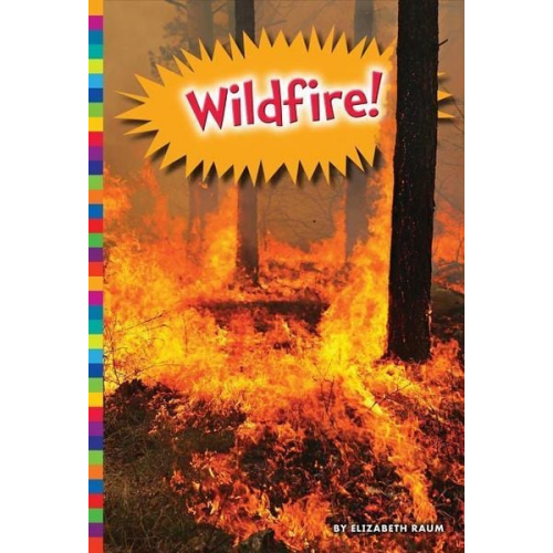 Elizabeth Raum - Wildfire!