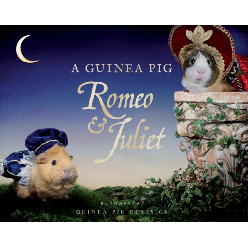 William Shakespeare Tess Newall Alex Goodwin - A Guinea Pig Romeo & Juliet