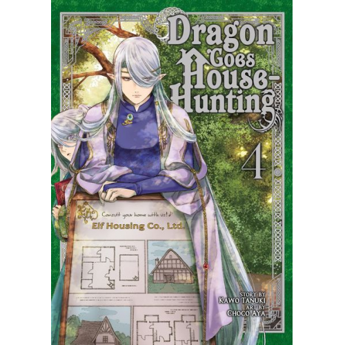 Kawo Tanuki - Dragon Goes House-Hunting Vol. 4