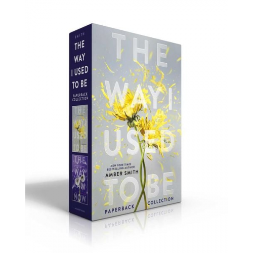 Amber Smith - The Way I Used to Be Paperback Collection (Boxed Set)