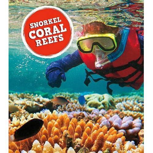 K. C. Kelley - Snorkel Coral Reefs