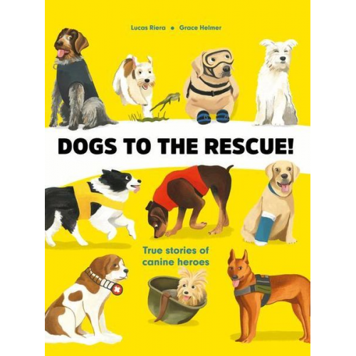 Lucas Riera - Dogs to the Rescue