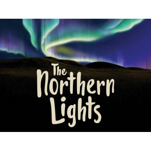Diane Ellis - The Northern Lights