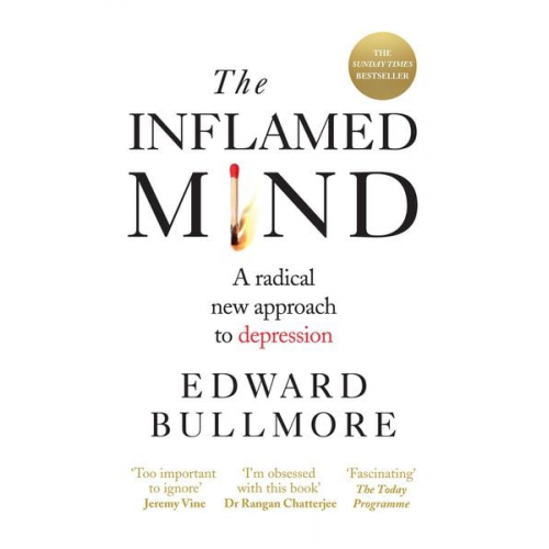 Edward Bullmore - The Inflamed Mind