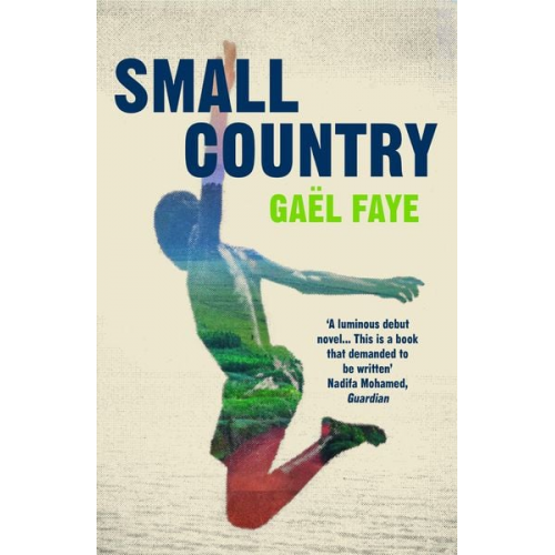 Gaël Faye - Small Country